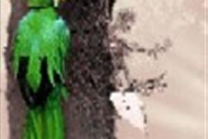 ¡Ayude a la naturaleza!