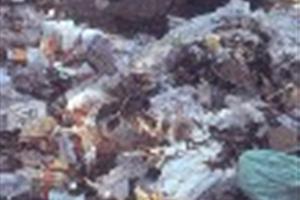 Por una cultura de reciclaje