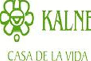 Participa