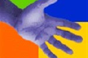 Reconocimiento voluntarios