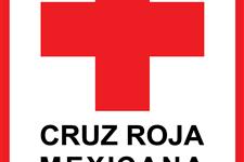 Voluntarios en silla de ruedas y muletas para funciones de radio operador